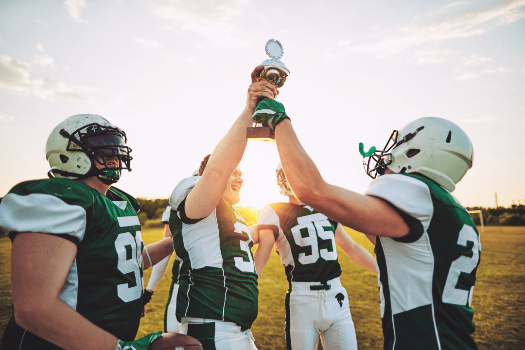 Winning Consulting Projects Winning Consulting Projects