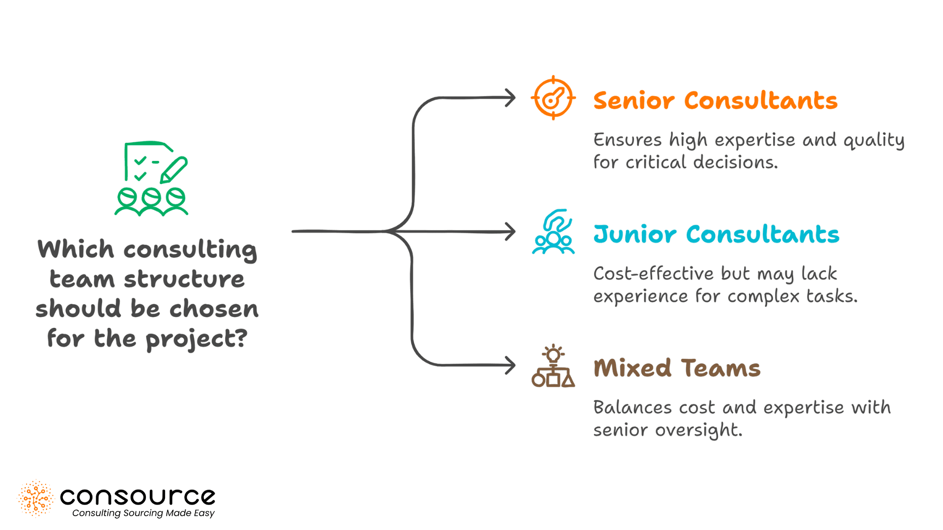 Which consulting team structure should be chosen for the project